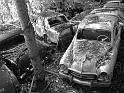 Autofriedhof - 133